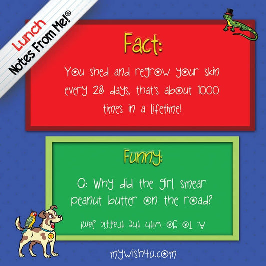 Facts & Funnies 2 - 101 Tear-Off Lunch Box Notes for Kids - Inspirational, Motivational, Thinking of You, Jokes for Kids, Summer Camp, Back to School Essentials, Ages 8+