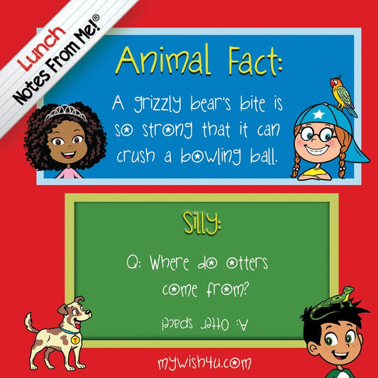 Animal Facts & Sillies - 101 Tear-Off Lunch Box Notes for Kids - Inspirational, Motivational, Thinking of You, Jokes for Kids, Summer Camp, Back to School Essentials, Ages 8+