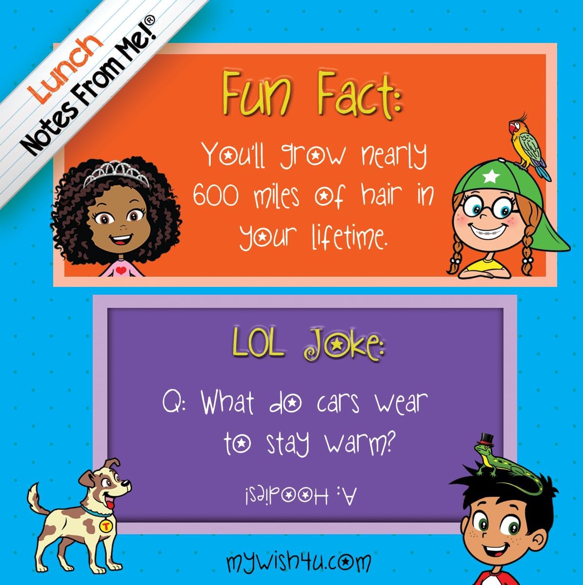 Fun Facts & LOL Jokes - 101 Tear-Off Lunch Box Notes for Kids - Inspirational, Motivational, Thinking of You, Jokes for Kids, Summer Camp, Back to School Essentials, Ages 8+